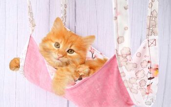  DIY Cat Hammock - Faça a cama perfeita para o seu gato