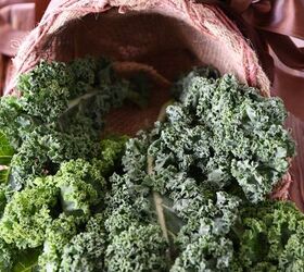 The secret to a magazine-worthy Thanksgiving centerpiece? Kale!