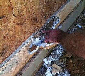 cmo deshacerse de las termitas de forma natural y eficaz, la mano se introduce en una viga de madera infestada de termitas