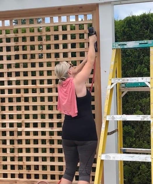como criar uma parede de trelia em seu jardim