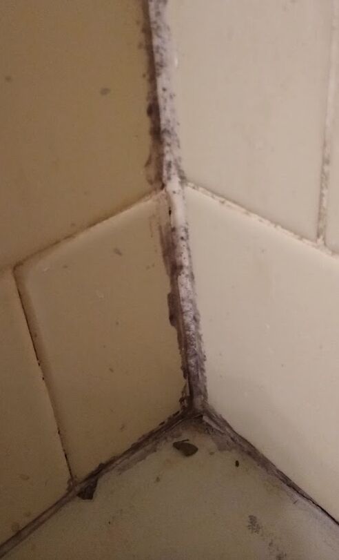 q clean or replace this caulking