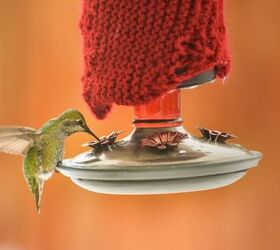 how to make a hummingbird feeder with materials you likely have, green hummingbird feeds on nectar on feeder