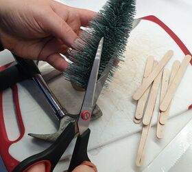 The kind of crazy reason she cuts a bottle brush tree in half