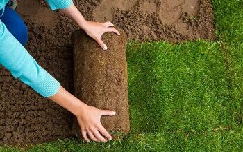 A Complete Guide on How to Lay Sod Yourself