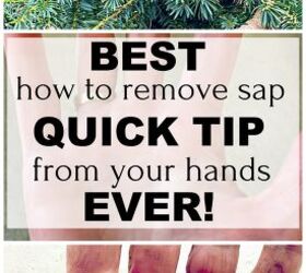 How To Remove Pine Sap Off Your Hands