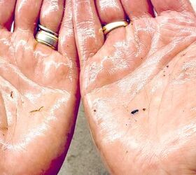how to remove pine sap off your hands