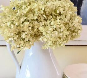 How to Dry Hydrangeas and Decorate With Them