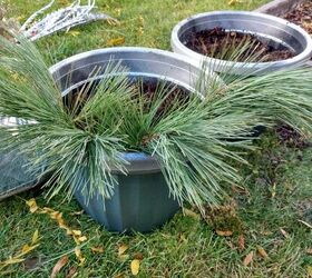 The $1 way to make gorgeous winter planters for your porch (leave these out after Christmas!)