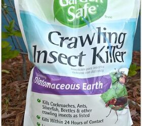 how to get rid of boxelder bugs and prevent them from coming around, bag of diatomaceous earth