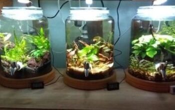 27 Cool DIY Fish Tank Ideas With Tutorials