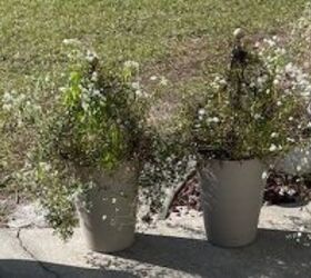 Do this to refresh your sad-looking outdoor planters before guests arrive