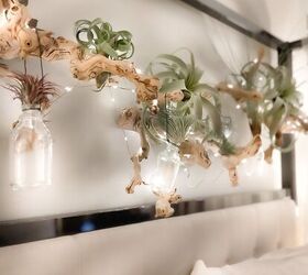 Stunning AIR PLANT WALL DISPLAY – Easy Steps