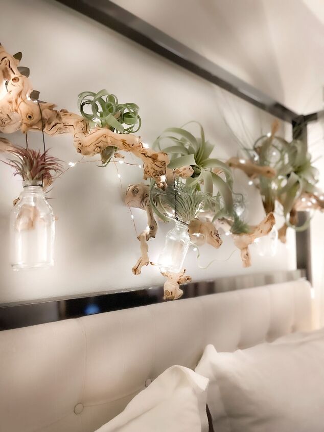 display de parede de plantas de ar impressionantes passos fceis