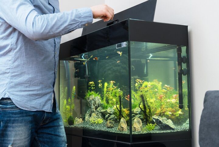 how to clean a fish tank, person opening up fish tank lid