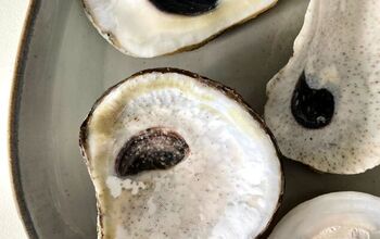 Diseñar un plato de ostras personalizado