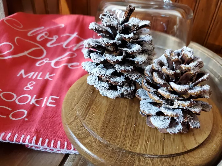 19 maneras de hacer que tu casa sea acogedora despus de la navidad, Conos de pino cubiertos de nieve