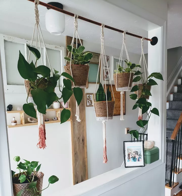 how to hang a plant from the ceiling without holes, houseplants hanging from a tension rod