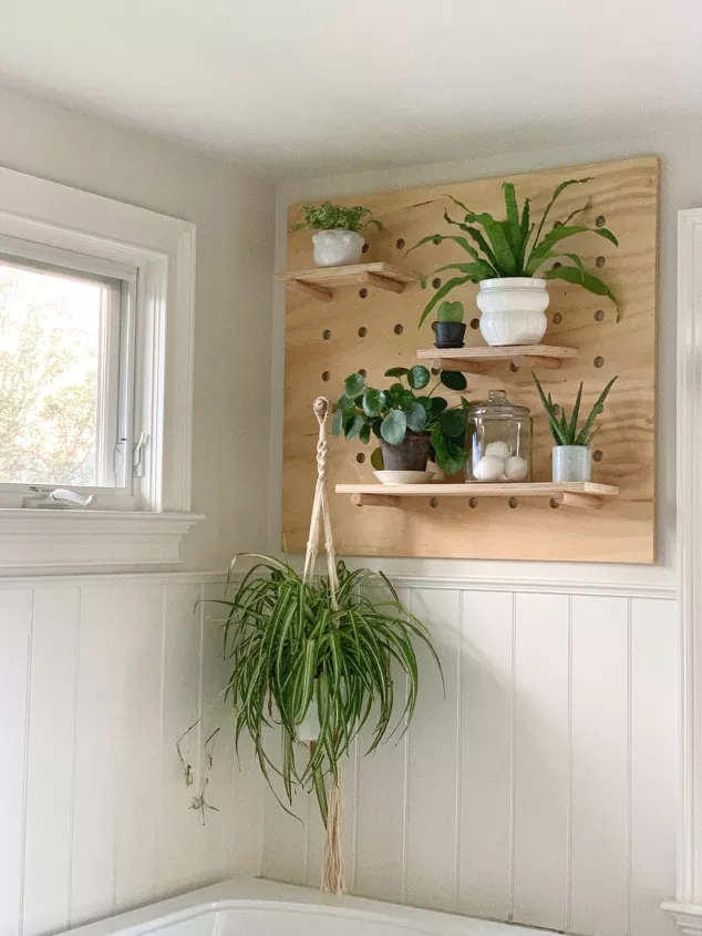 How To Hang A Plant From The Ceiling Without Holes Hometalk - How To Hang Things From Ceiling Without Drilling