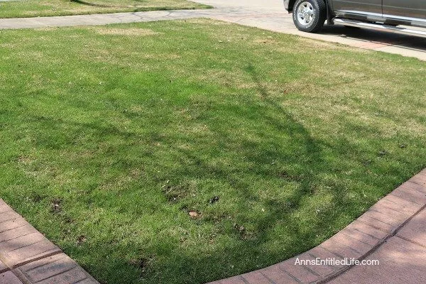 how to aerate a lawn by hand, green lawn against brick sidewalk