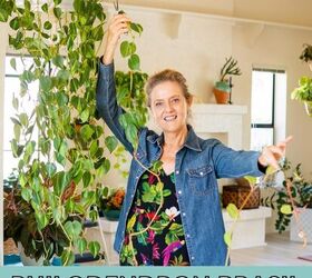 PHILODENDRON BRASIL PROPAGATION