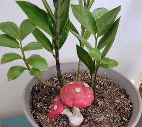 Create Whimsical Home Decor With Quick DIY Clay Mushrooms