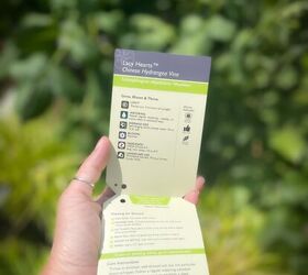How to Organize Plant Tags