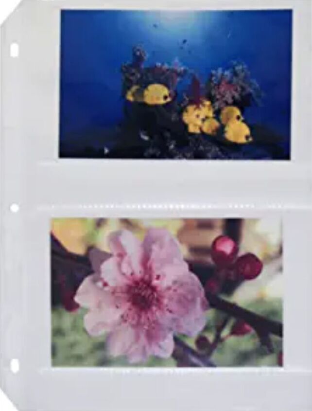 How to Organize Plant Tags