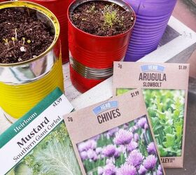 Cómo crear un jardín de hierbas en un contenedor reciclado con tus hijos