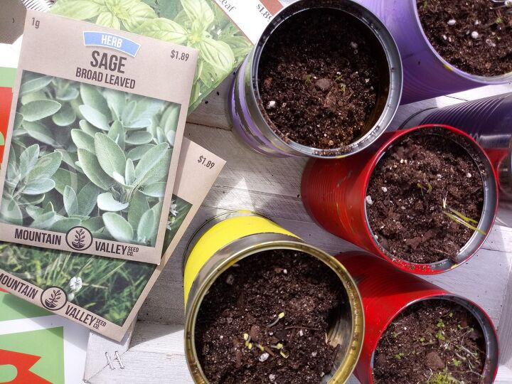how to create recycled container herb garden with your kids