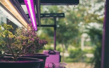 The 7 Best Indoor Growing Systems for Year-Round Gardening