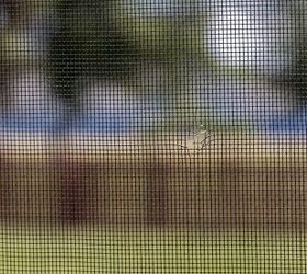 how to repair a window screen with tears and holes, small tear in window screen