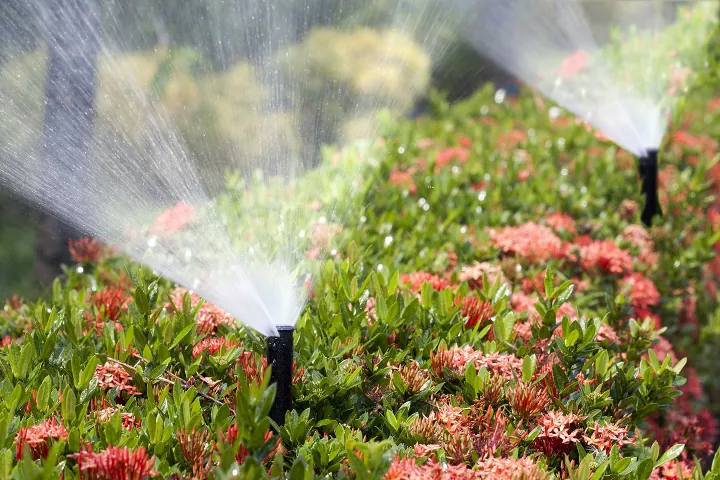 Photo via Morris & Bergen County Irrigation