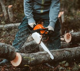 The 5 Best Chainsaws on the Market Right Now