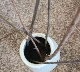 Still scrambling for the perfect way to say "I love you"? Stand some sticks in a vase for this cute creation