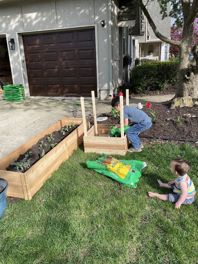 diy potato box