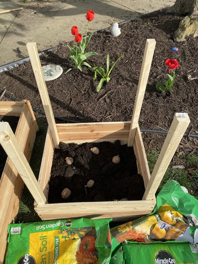 diy potato box