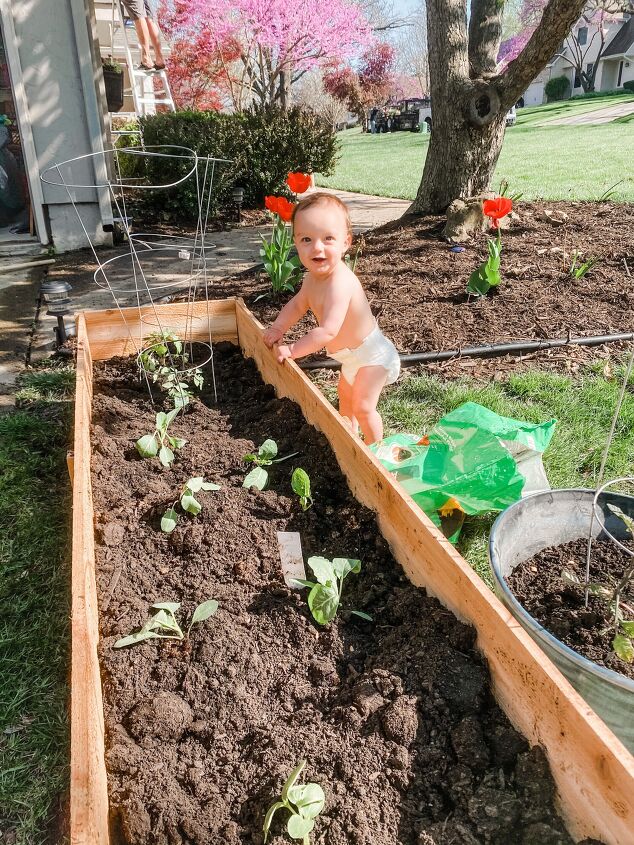 25 diy cedar raised garden bed