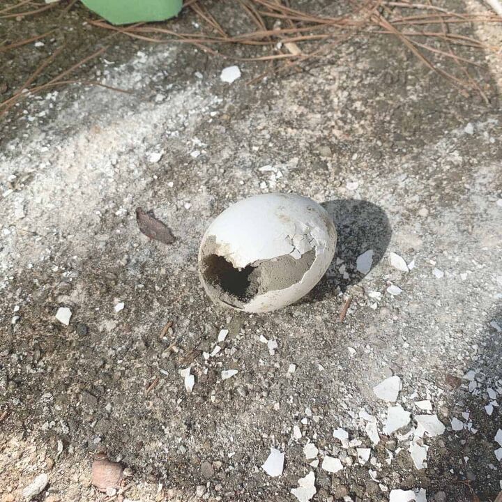 copos de ovo de cimento para a pscoa