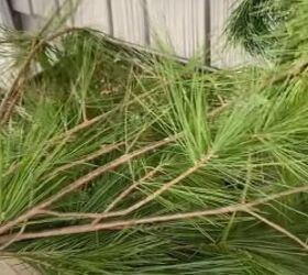 how to create this perfect pine and spruce outdoor winter planter idea, Pine branches