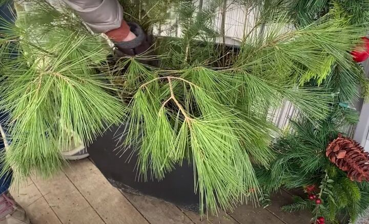 how to create this perfect pine and spruce outdoor winter planter idea, Adding spruce branches to the planter