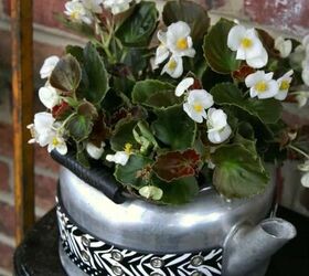 Use An Old Tea Kettle As A Flower Pot