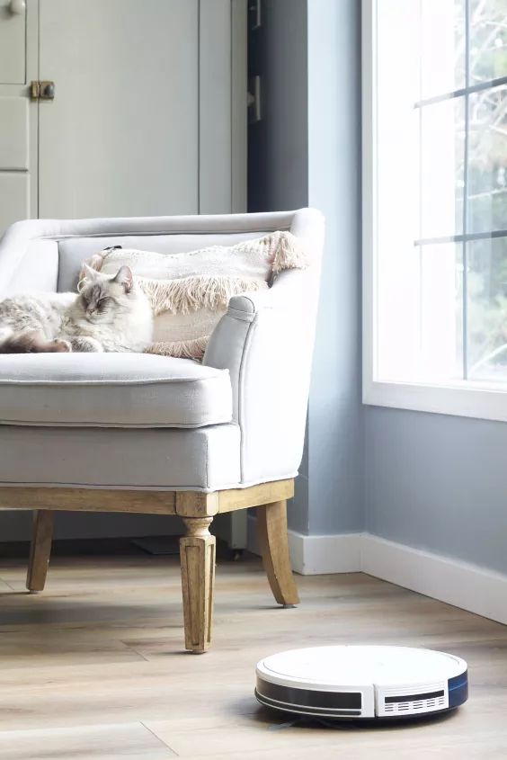 the 6 best robot vacuum cleaners money can buy, Cat in a gray chair and white robot vacuum on ground Photo via Eryn Eryn Whalen Online