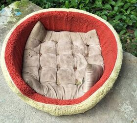 how to clean a dog bed, dirty dog bed on sidewalk