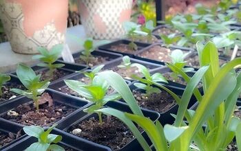 BEST SEED STARTING STATION DIY | Seed Starting