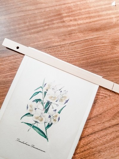 create a botanical wall hanging from thrifted art
