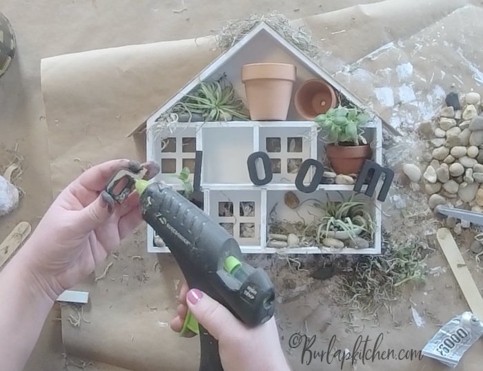 mini air plant garden target dollar spot craft