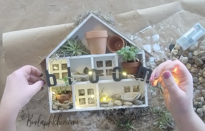 mini air plant garden target dollar spot craft