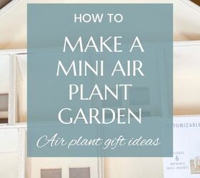 mini air plant garden target dollar spot craft