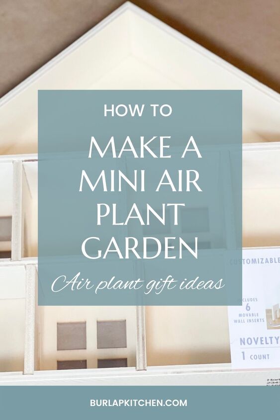 mini jardn de plantas de aire manualidad target dollar spot