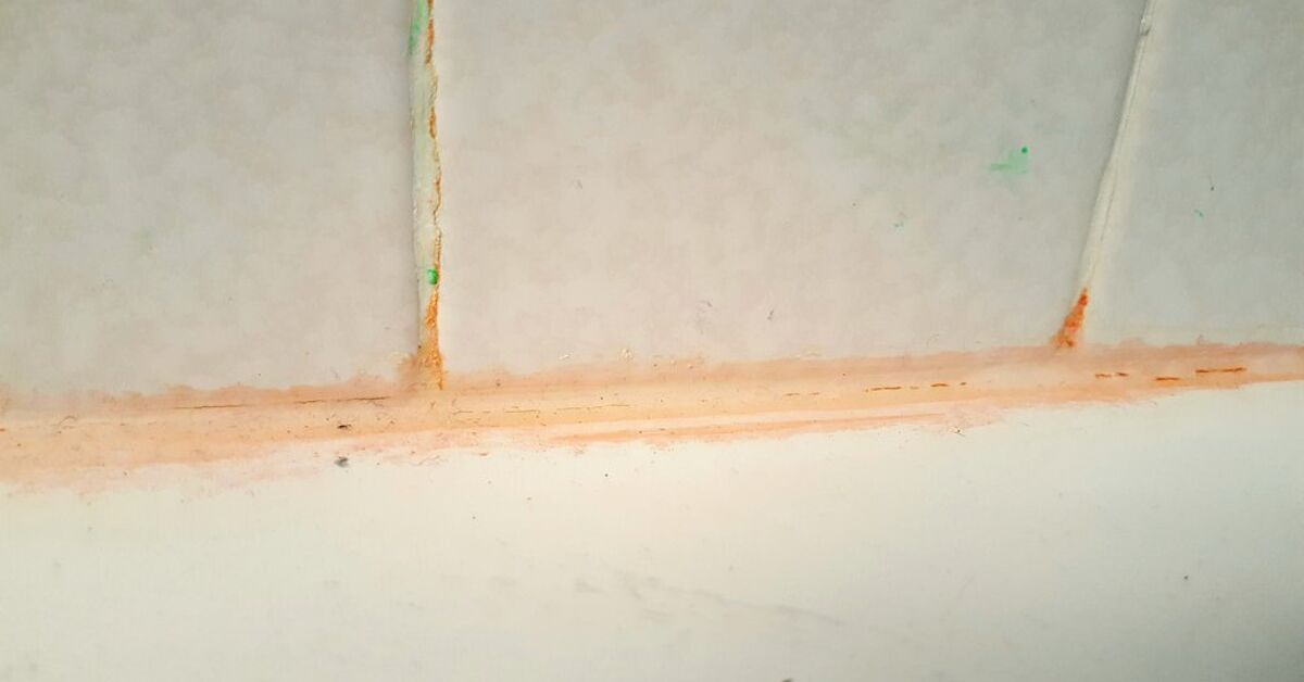 How To Get Rid Of Pink Mold In Your Shower For Good | Hometalk